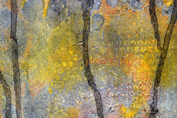 Subversive Joy 30 X 22 Inches - Acrylic On Watercolor Paper