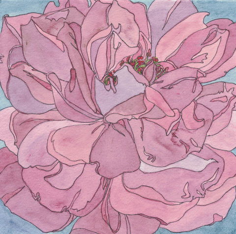 Rose Painting 77