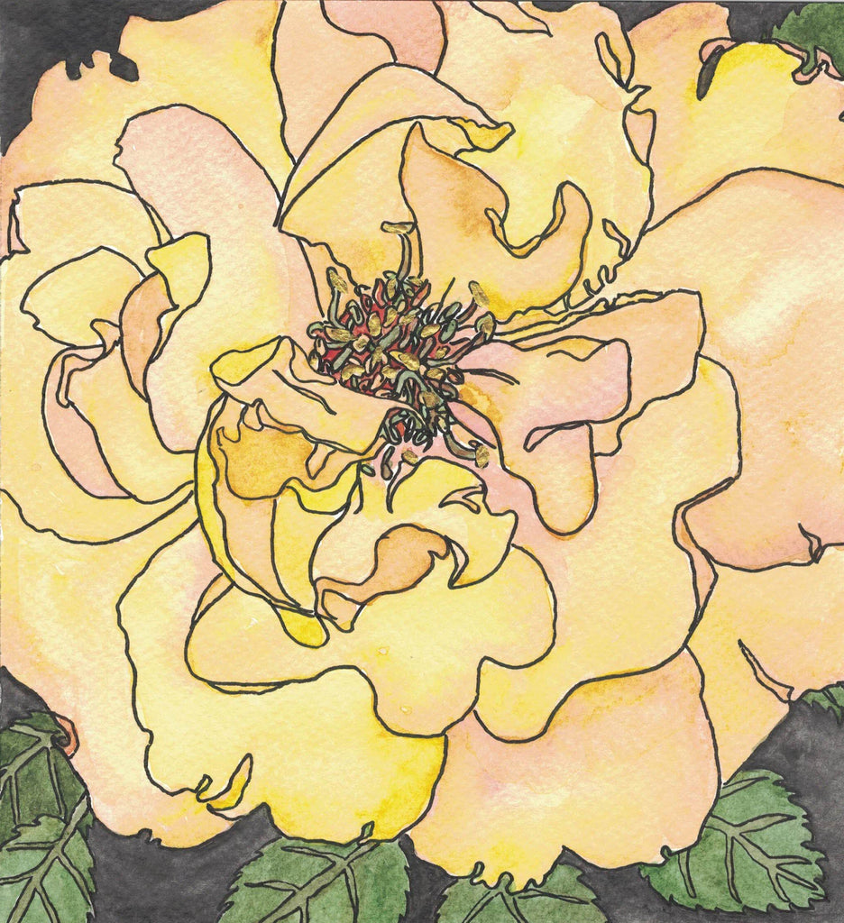 Rose Painting 51
