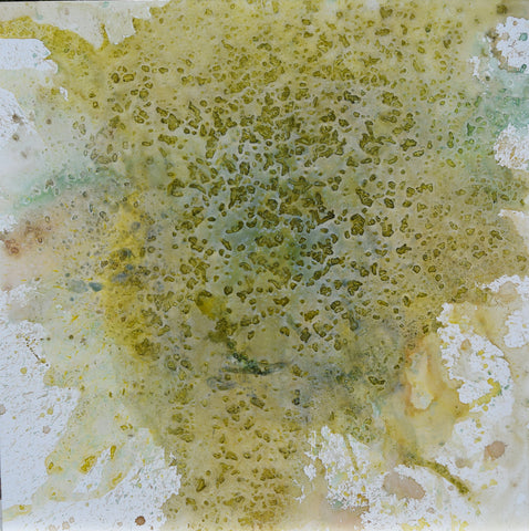 Abstract splatter painting inspired by tea. Has yellow, brown, white, and green colors.