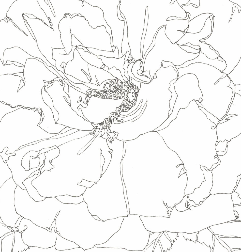 Rose Portrait 32