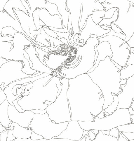 Rose Portrait 32
