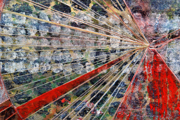 Reflections 17 x 26 inches mixed media on paper