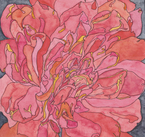 Rose Portrait 79